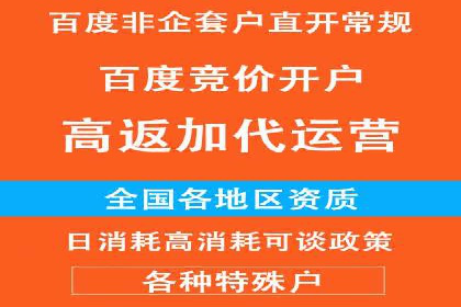 竞价SEM策略在金融行业的成功实践